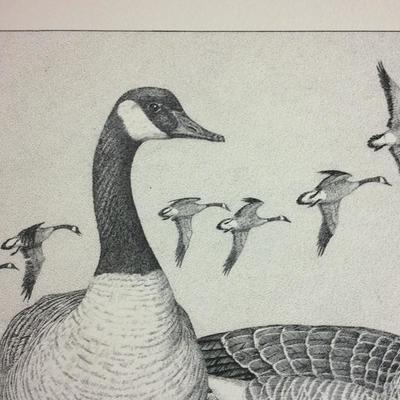 Lot 77 Bird prints by Charles Beckendorf