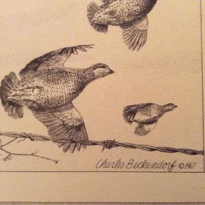 Lot 77 Bird prints by Charles Beckendorf