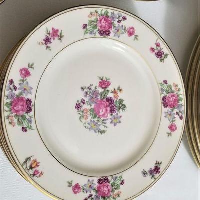 Lot #10  Set of Theodore Haviland "Arlington" dinnerware