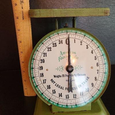 K4: Vintage American Family Scale