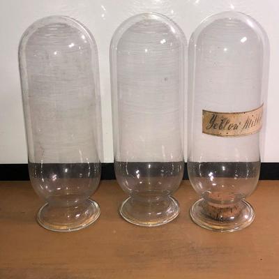 Lot #40: Lot of 3 Scientific 8" Glass Vials
