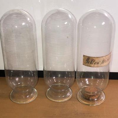 Lot #40: Lot of 3 Scientific 8" Glass Vials
