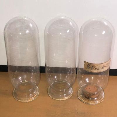 Lot #40: Lot of 3 Scientific 8" Glass Vials