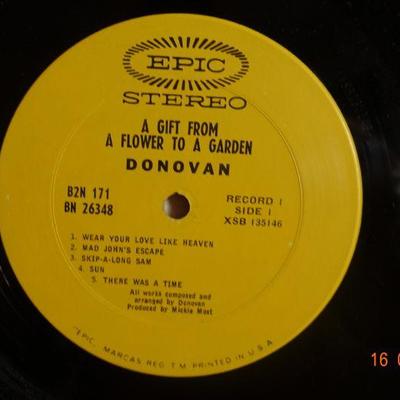Donovan ~ A Gift From a Flower to A Garden