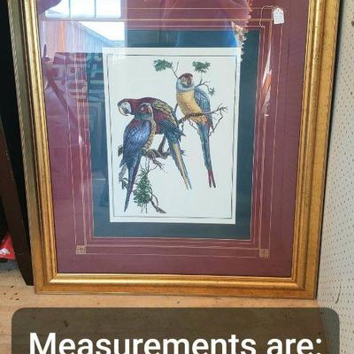 Parrots Framed Picture