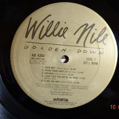 Willie Nile ~ Golden Down
