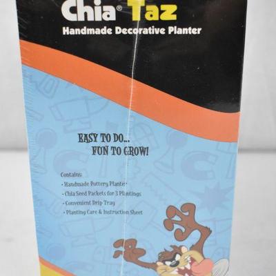 Chia Taz Handmade Decorative Planter - New