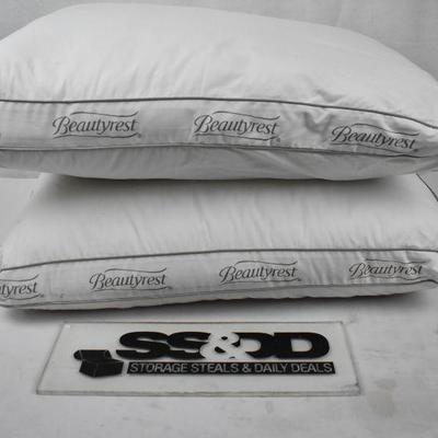 Beautyrest Luxury Power Extra Firm Pillow Set of 2. Standard Size. WH Dirt, new