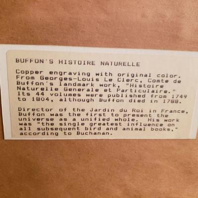 Lot 16: Buffon's Histoire Naturelle 