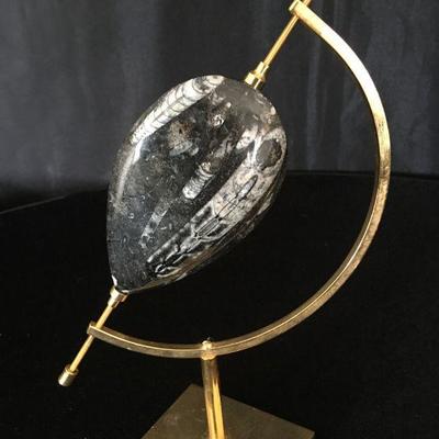 Mounted & Polished Orthoceras Fossil on Brass Stand 9"H Lot # 119