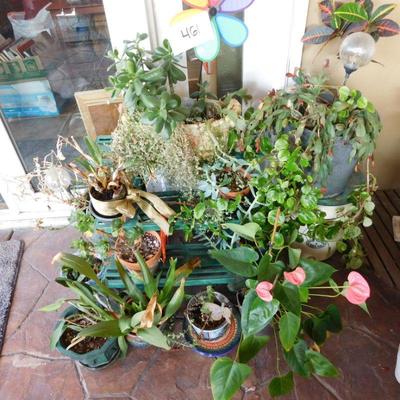 Lot 461 three-step plant stand with approximately eight plants