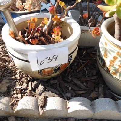 LOT 639 2 POTTED PLANTS