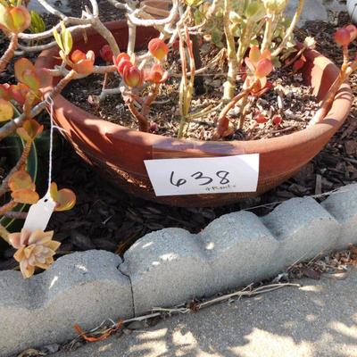 LOT 638   4 POTTED PLANTS