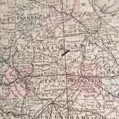 LOT #220: State of Michigan and Wisconsin Antique Map