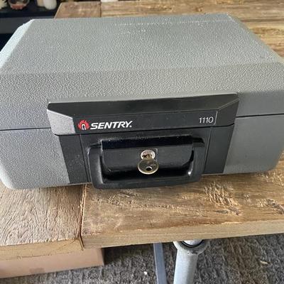 SENTRY SAFE for documents photographs passports cash fireproof