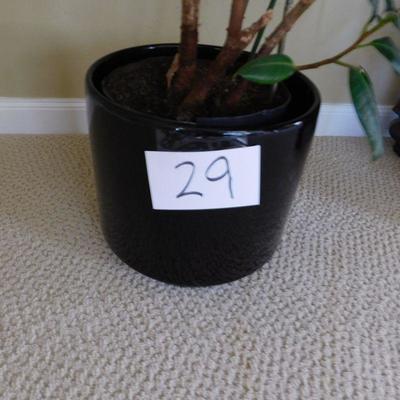  lot 29 live house plant in dark blue pot