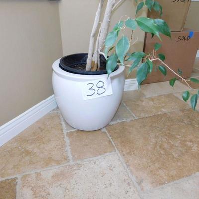 Lot 38 live house plant with white planter