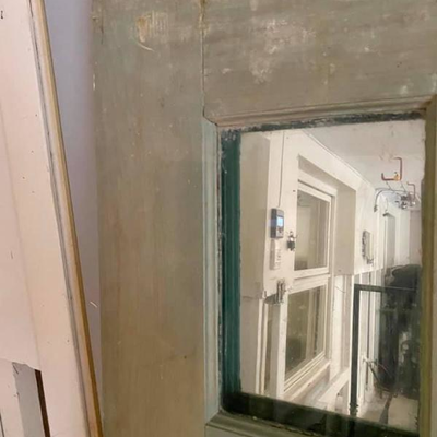 ANTIQUE MIRRORED DOOR