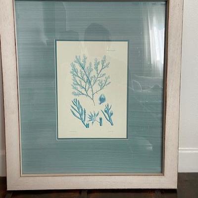 Vintage Teal Coral print custom framed