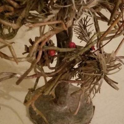 Lot 527: Christmas Tree with Red Berries 