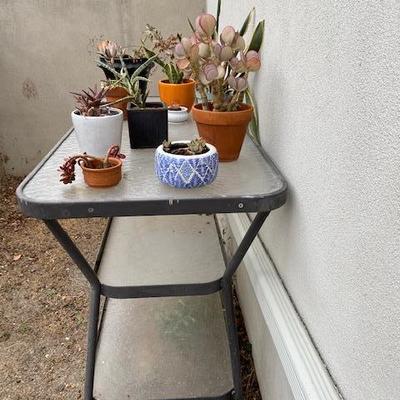 Vintage Metal and glass plant stand 1970's