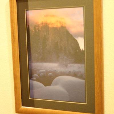 Lot 46 Oak Framed Pictures