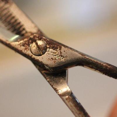 Lot 74 Vintage Salon Quality Scissors 1