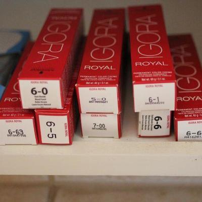 Lot 79 Professional Salon Color, Brushes, Combs & More
