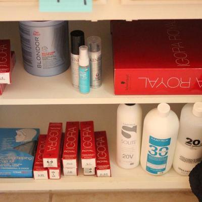 Lot 79 Professional Salon Color, Brushes, Combs & More