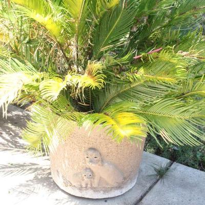 Lot 195 Margaret Hudson Dog Pot w/ Sago Palm