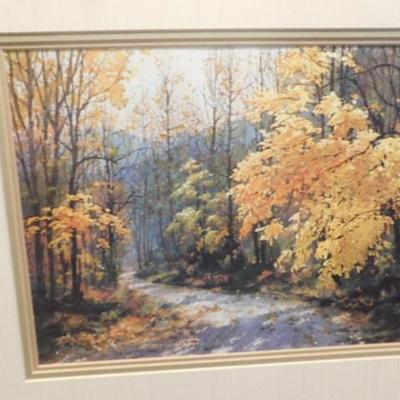 Framed Print of Mountain Path by Jim Gray 21