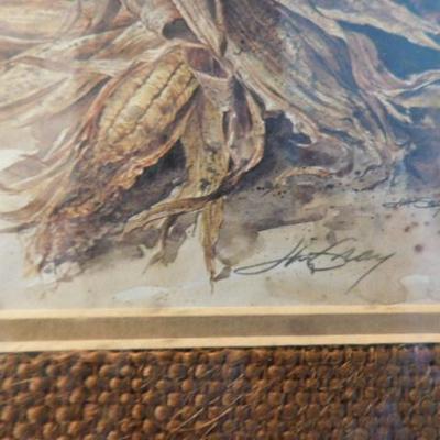 Framed Print of Corn Husks by Jim Gray 14