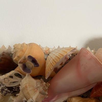 MASSIVE XL SHELL ENCRUSTED MANTLE MIRROR hand crafted