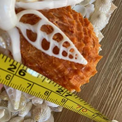 SHELL ENCRUSTED OVAL MIRROR HAND CRAFTED