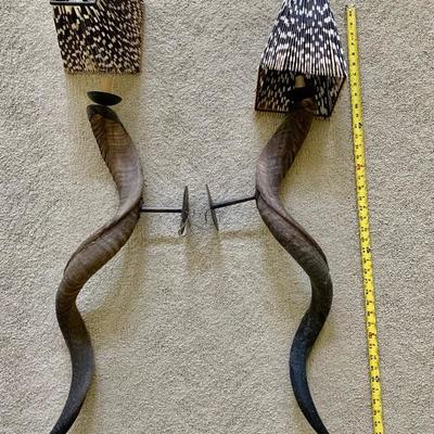 Lot # 434 Pair of Kudo Horn Lighted Sconces with Porcupine Quill Shades 