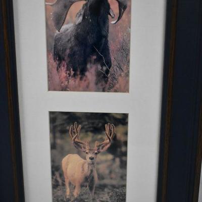 Framed Images of Wildlife Animals. 2 Frames, 4 images each