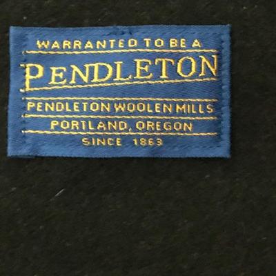 Lot # 464 Pendleton Buffalo Lodge Wool Blanket 