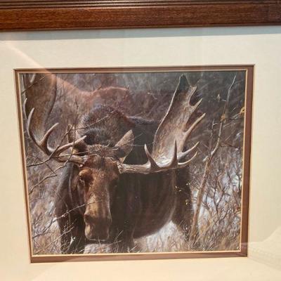 Lot # 470 Framed Moose Print 