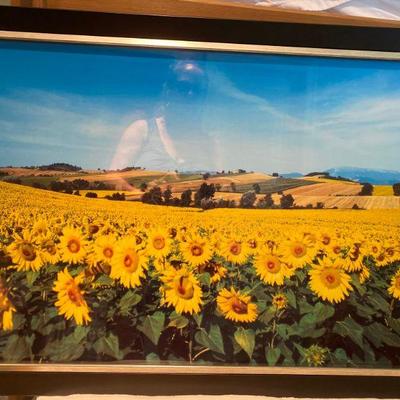 Lot # 472 Large Framed Sunflower Print 