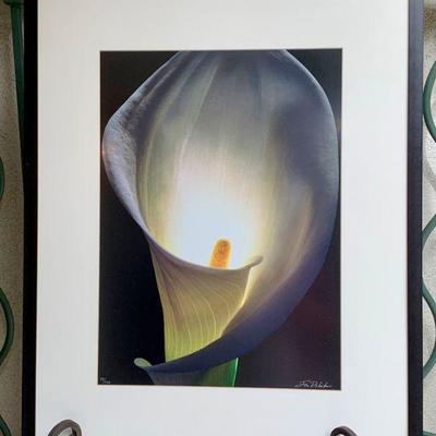 ART 12   S/N PHOTOGRAPHIC ART PRINT JIM DELUTES CALLA LILY