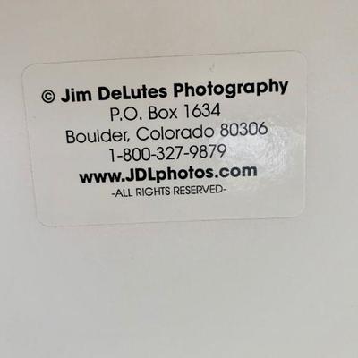 ART 12   S/N PHOTOGRAPHIC ART PRINT JIM DELUTES CALLA LILY