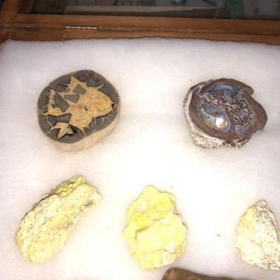 Lot #65: Private Collection of Rocks and Minerals