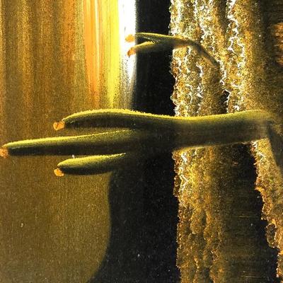 #196 Vintage Desert Velvet Painting