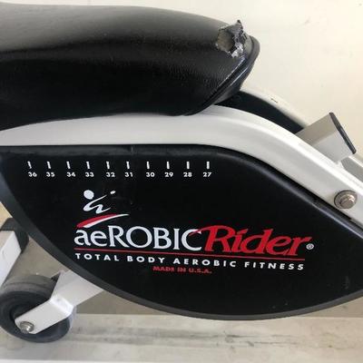 #255 Aerobic Rider