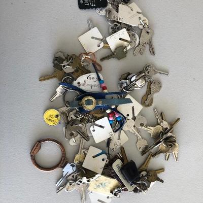 #274 Bundle of various keys