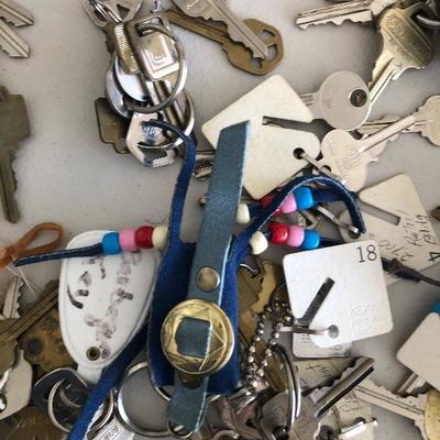 #274 Bundle of various keys