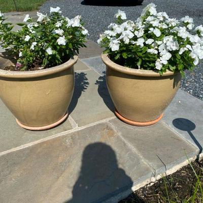 Lot # 551 Pair of Flowering Pots 