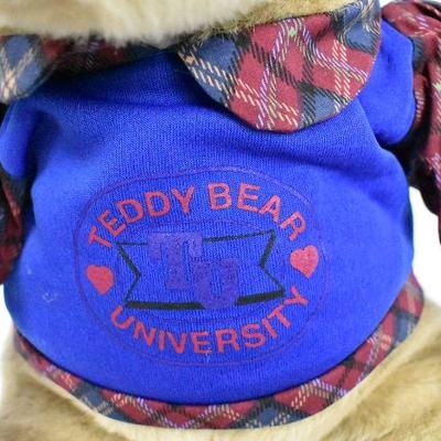 Timeless Teddies Teddy Bear University