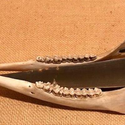 Caribou Jawbone Dog Sled