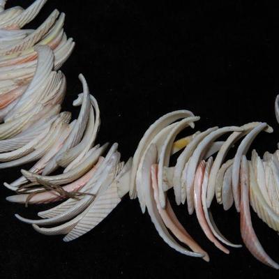 Shell Necklace 
